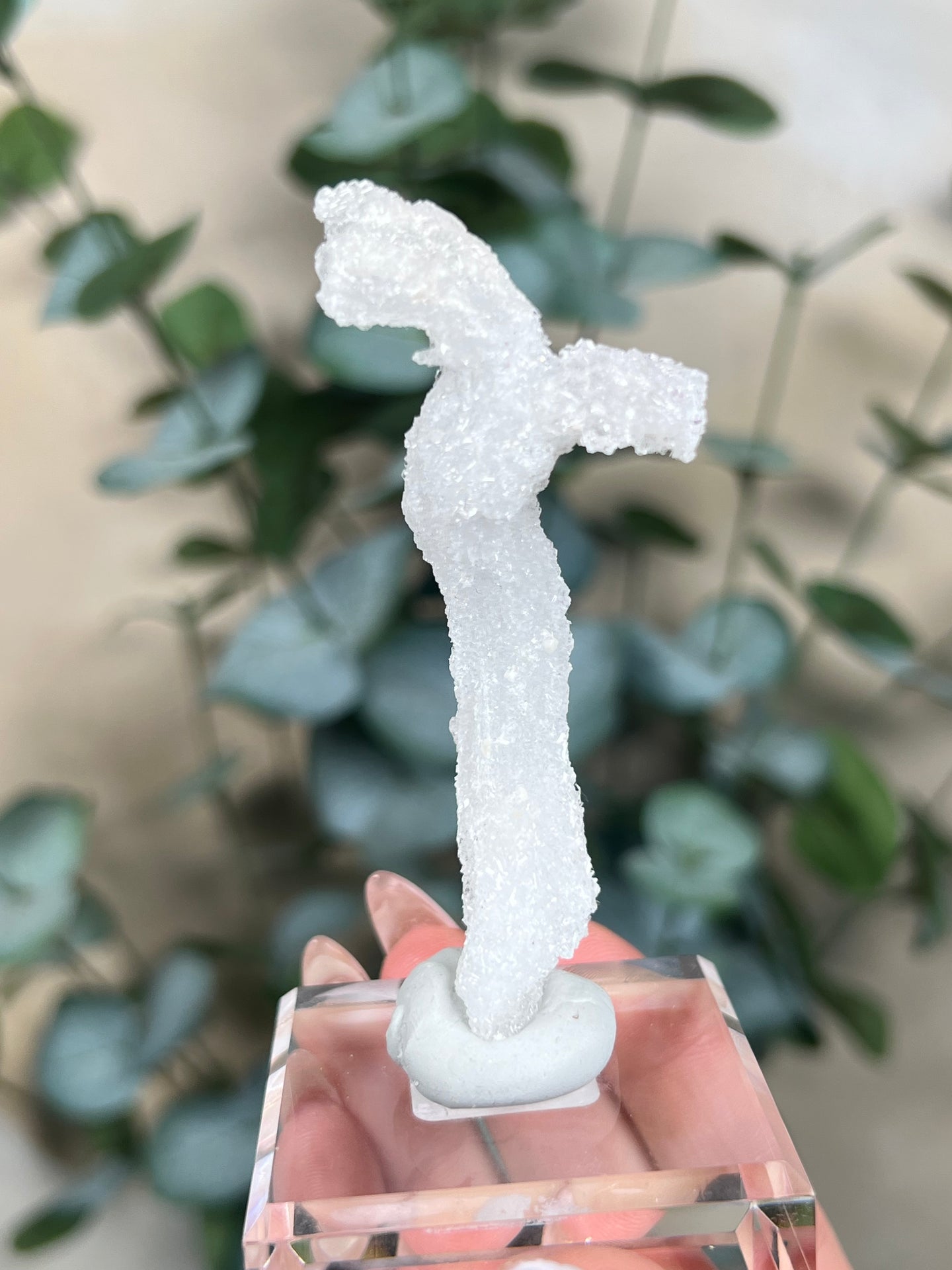 Horn Selenite (42EC)